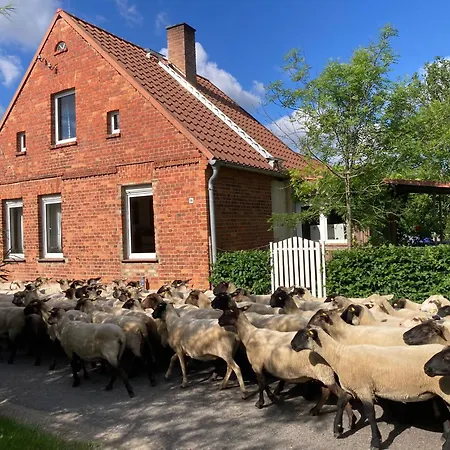 Uckermaerkisches Landarbeiterhaus Vakantiehuis